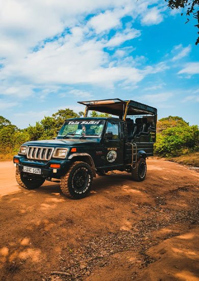 Jeep Safari  